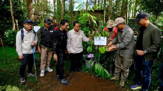 PT Vale dan Kementerian LHK menanam pohon di Gunung Bawakaraeng. Foto: Istimewa.