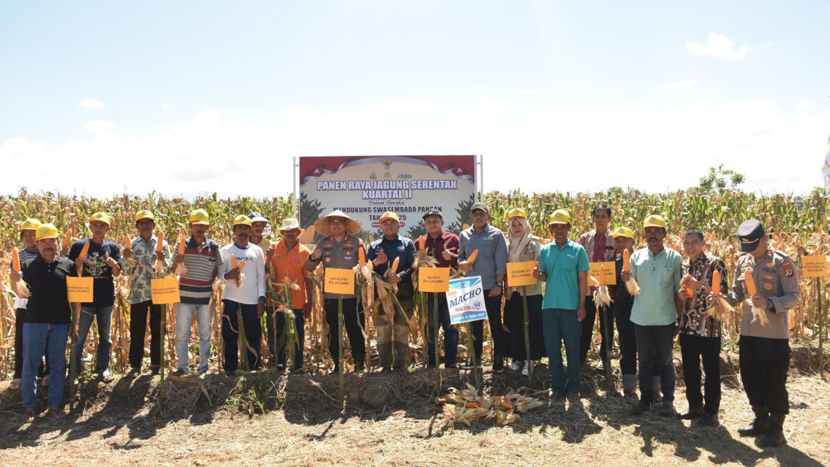 Kapolres Bulukumba Ikut Panen Jagung Serentak di Kecamatan Gantarang