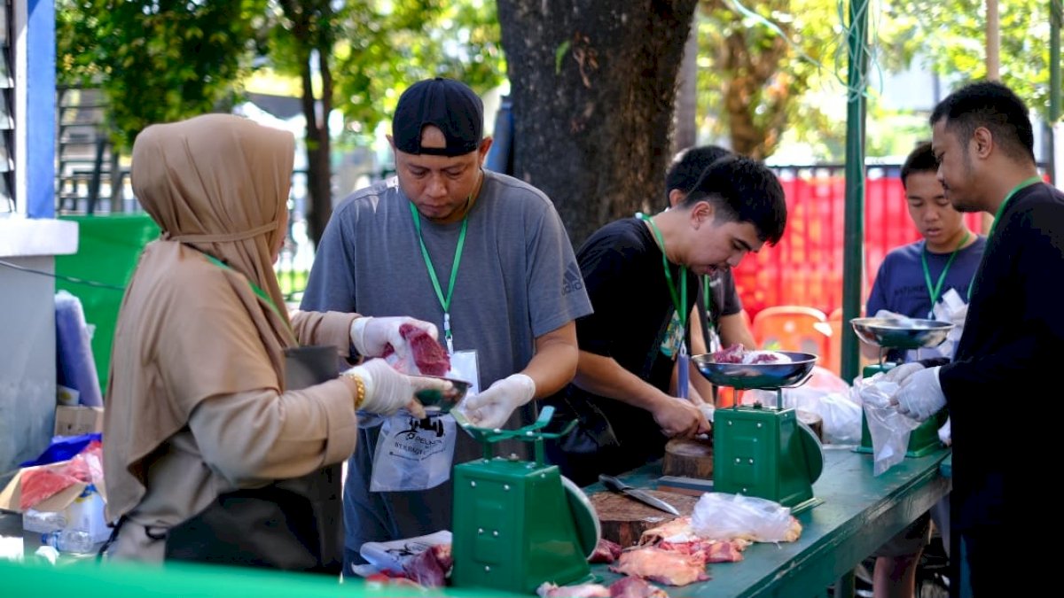 Hari Raya Iduladha, Pelindo Regional 4 Kurban 35 Ekor Sapi