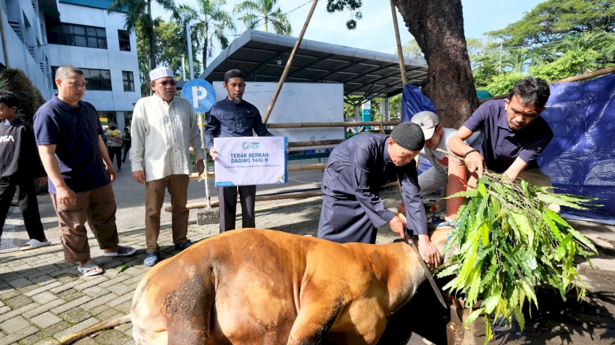 Iduladha, PLN UIP Sulawesi Salurkan 770 Kg Daging Kurban dan Khitan Massal Gratis