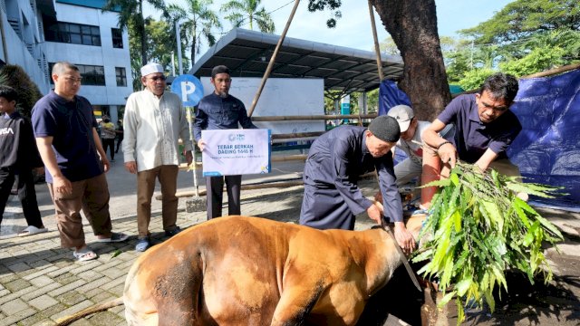 Hewan kurban PLN UIP Sulawesi yang akan disalurkan kepada masyarakat. Foto: Istimewa.