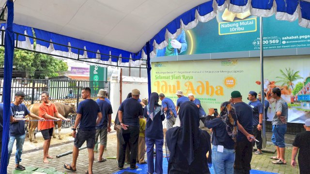 Pegadaian Kanwil Makassar salurkan hewan 80 hewan kurban. Foto: Istimewa.