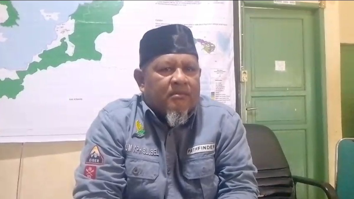 KPH Larona Minta PT Vale Segera Koordinasi Tindaki Pelaku Perambahan Hutan di Tanamalia