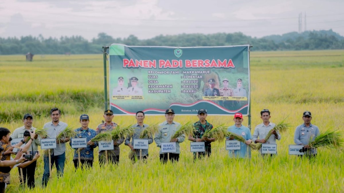 Hadiri Panen Raya, Abustan Sebut Capaian Ketahanan Pangan Nasional
