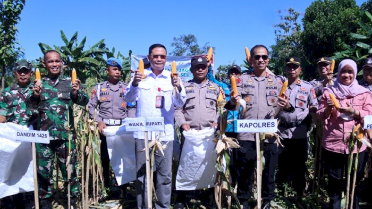 Wabup Lakukan Panen Raya Jagung bersama Forkopimda Takalar