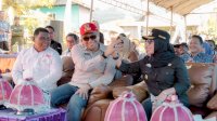 Usai Panen Nanas, Bupati Barru Ajak Anak Muda Jadi Petani Milenial dan Terus Manfaatkan Lahan Kosong