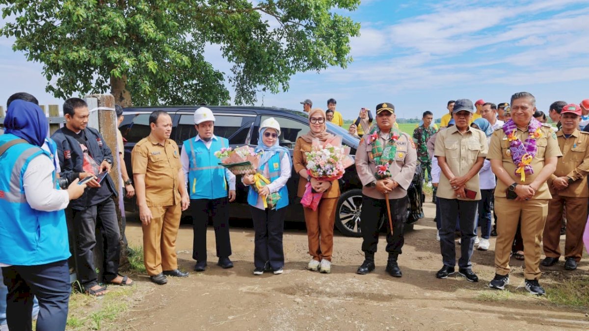 PLN Tingkatkan Produksi Petani, Andi Ina : Wujud Kolaborasi Bersama