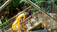 Juli Liburan Bugis Waterpark Adventure, Tiket Masuk Hanya Rp75 Ribu