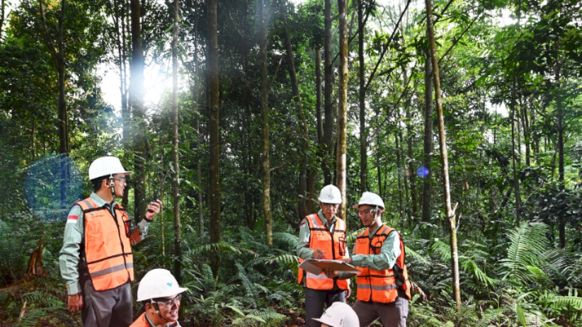 VIDEO: Komitmen Pada Keberlanjutan, PT Vale Hijaukan Area Bekas Tambang