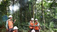 VIDEO: Komitmen Pada Keberlanjutan, PT Vale Hijaukan Area Bekas Tambang