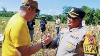 Pastikan Stok Ketahanan Pangan Terpenuhi, Wakol Bupati Barru Panen Jagung Bersama Kapolres
