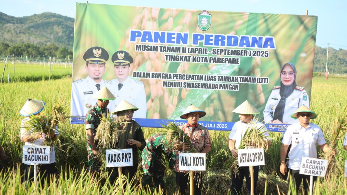 Wali Kota Tasming Hamid Pimpin Panen Perdana Benih Padi di Watang Bacukiki