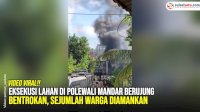 VIDEO: Eksekusi Lahan di Polewali Mandar Berujung Bentrokan, Sejumlah Warga Diamankan
