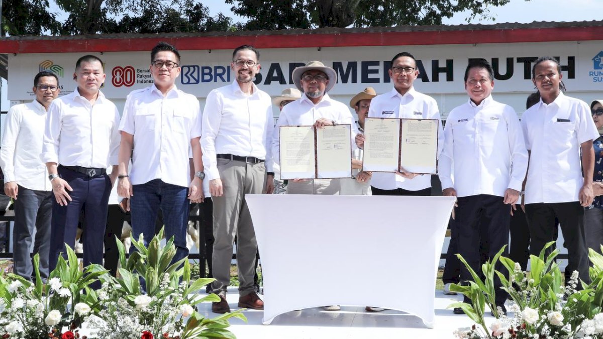 BRI Dukung Program Sapi Merah Putih, Dorong Swasembada Pangan Nasional
