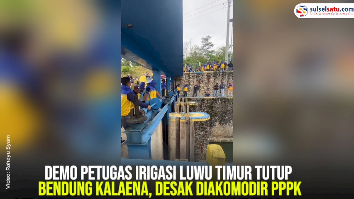VIDEO:  Petugas Irigasi Luwu Timur Tutup Bendung Kalaena, Desak Diakomodir PPPK