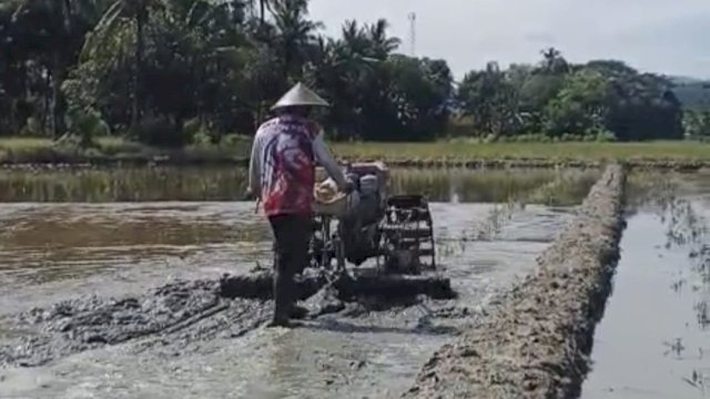 Traktor yang disalurkan PLN kepada kelompok tani di Mekongga, Kolaka. Foto: Istimewa.