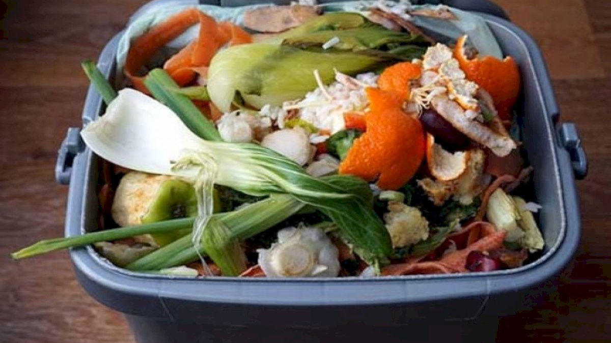 Limbah MBG Makassar Diolah Jadi Maggot, Pupuk, dan Ecoenzyme