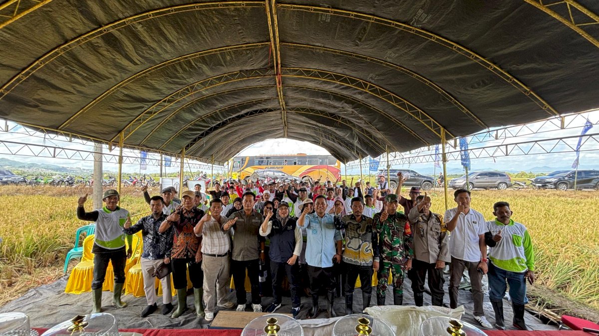 Pupuk Indonesia Dorong Petani Bone Pakai Pupuk Organik Petroganik Tingkatkan Produksi Padi