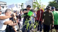 GPIB Canangkan Tanam Pohon Tabebuya, Dukung Penghijauan Lingkungan