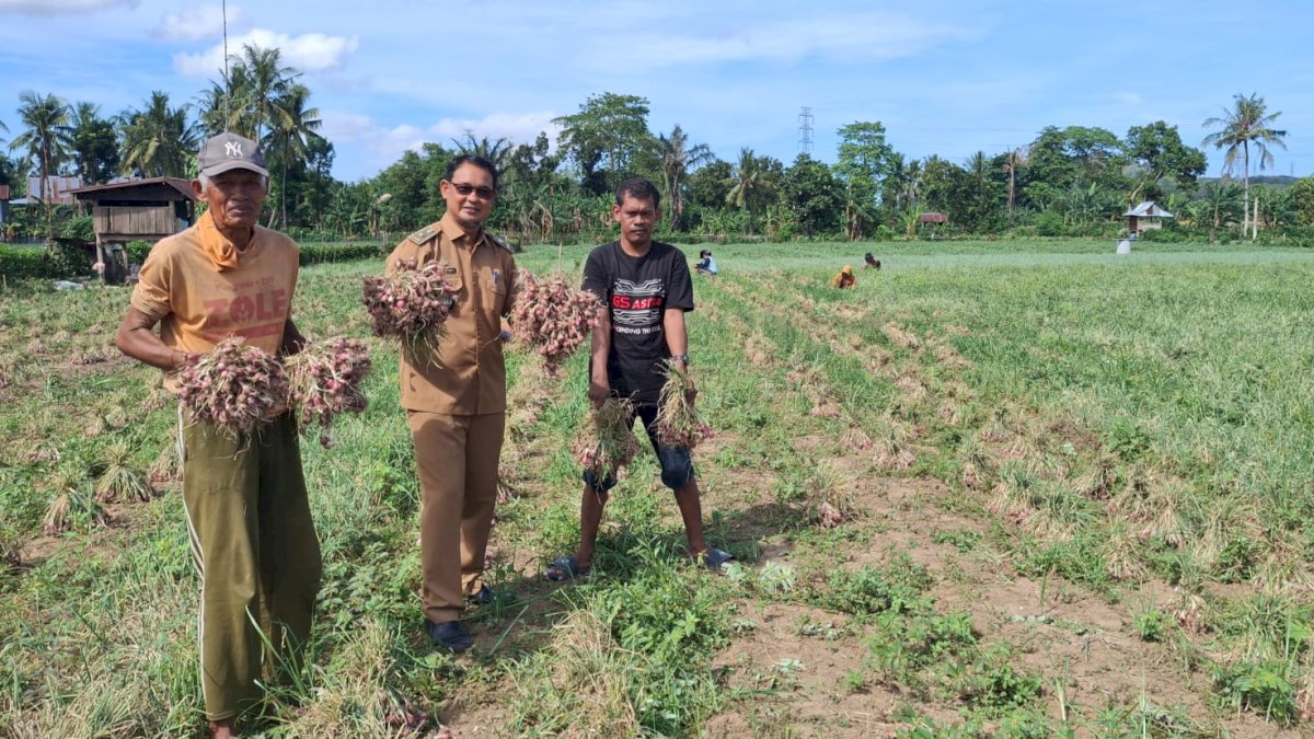 Program TJSL PLN Berikan Dampak Nyata Bagi Kesejahteraan Petani Desa Lampoko