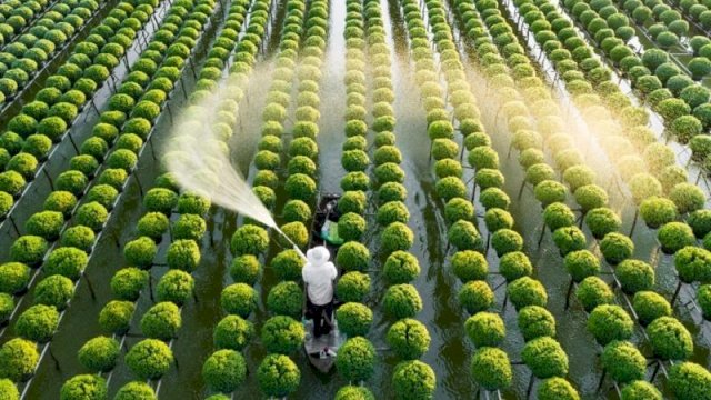 Ahli biokimia Lance Seefeldt berhasil mengubah nitrogran di udara jadi pupuk organik. Foto: Istimewa.