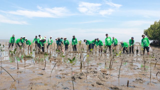 Aksi Mangrove Lestari di Kelurahan Tekolabbua, Kabupaten Pangkep. Foto: Istimewa.