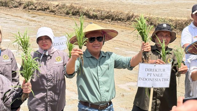 Pertanian berkelanjutan yang dihadirkan PT Vale. Foto: Istimewa.
