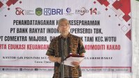 OJK Bersama Pemda dan PUJK Kolaborasi Perkuat Akses Keuangan Petani Kakao di Luwu Timur