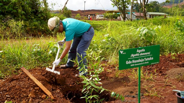 PT Vale tanam pohon serentak. Foto: Istimewa.
