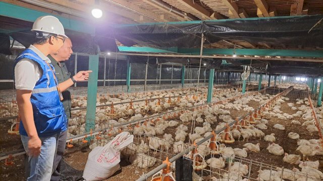 PLN komitmen jaga layanan listrik tetap optimal. Foto: Istimewa.