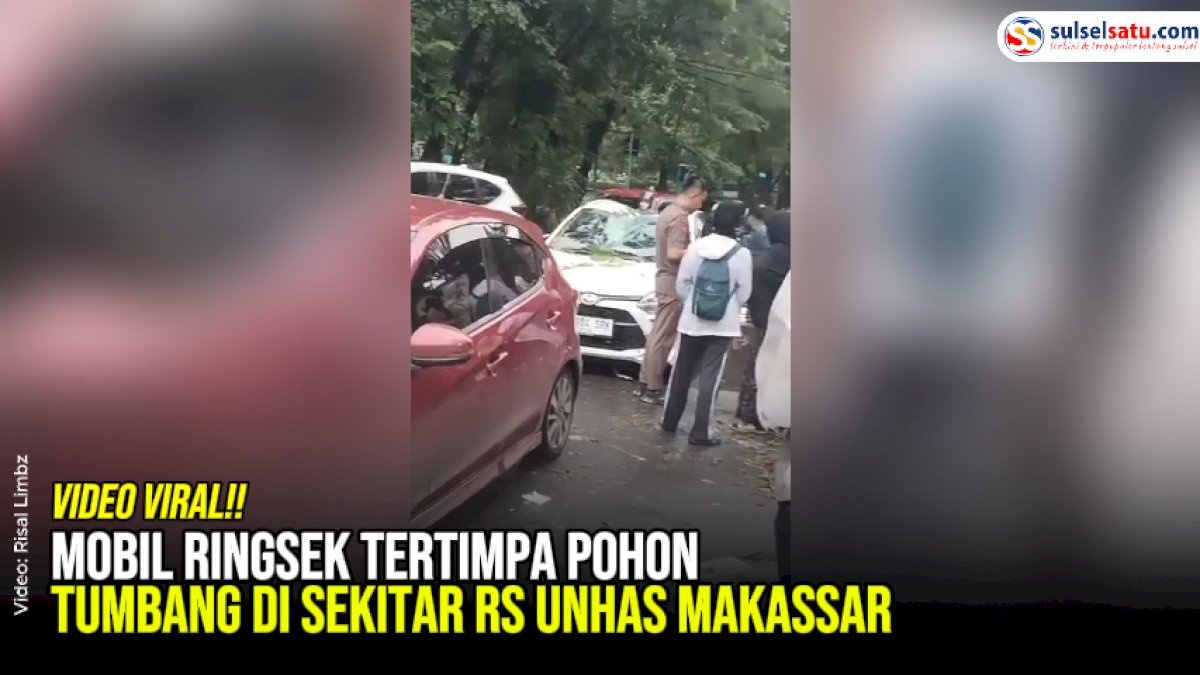 VIDEO: Mobil Ringsek Tertimpa Pohon Tumbang di Sekitar RS Unhas Makassar