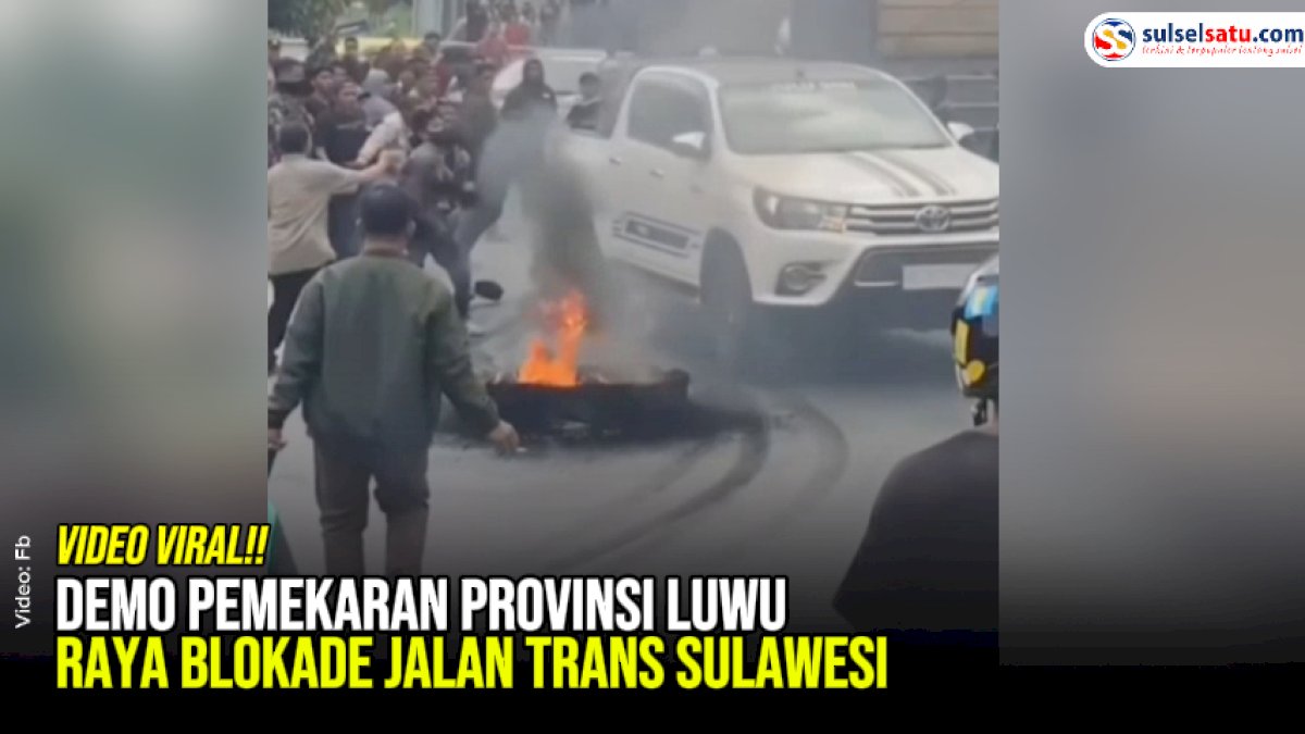 VIDEO: Demo Pemekaran Provinsi Luwu Raya Blokade Jalan Trans Sulawesi