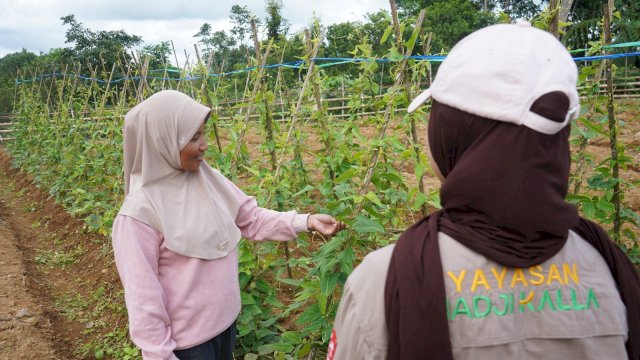 Program DBS LAZ Hadji Kalla yang meningkatkan produktivitas petani. Foto: Istimewa.