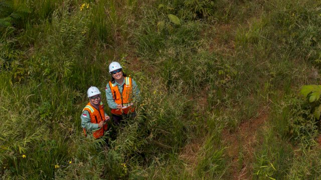 Lahan bekas tambang yang berhasil direklamasi kembali oleh PT Vale. Foto: Istimewa.