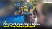 VIDEO: Pohon Tumbang di Jalan Ir Sutami, Mobil Pikap Pedagang Ringsek