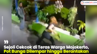 VIDEO: Sejoli Cekcok di Teras Warga Mojokerto, Pot Bunga Dilempar hingga Berantakan