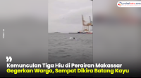 VIDEO: Kemunculan Tiga Hiu di Perairan Makassar Gegerkan Warga, Sempat Dikira Batang Kayu