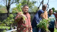 Munafri Tinjau Urban Farming di Tamalate&ndash;Wajo, Targetkan Kemandirian Pangan Bagi Warga