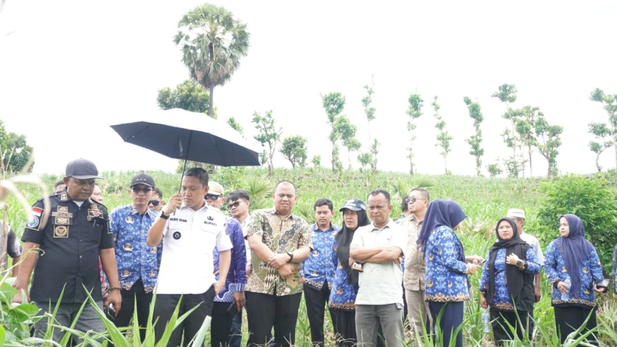 Bupati Jeneponto Resmikan Reading Corner dan Tinjau Lokasi Sekolah Rakyat