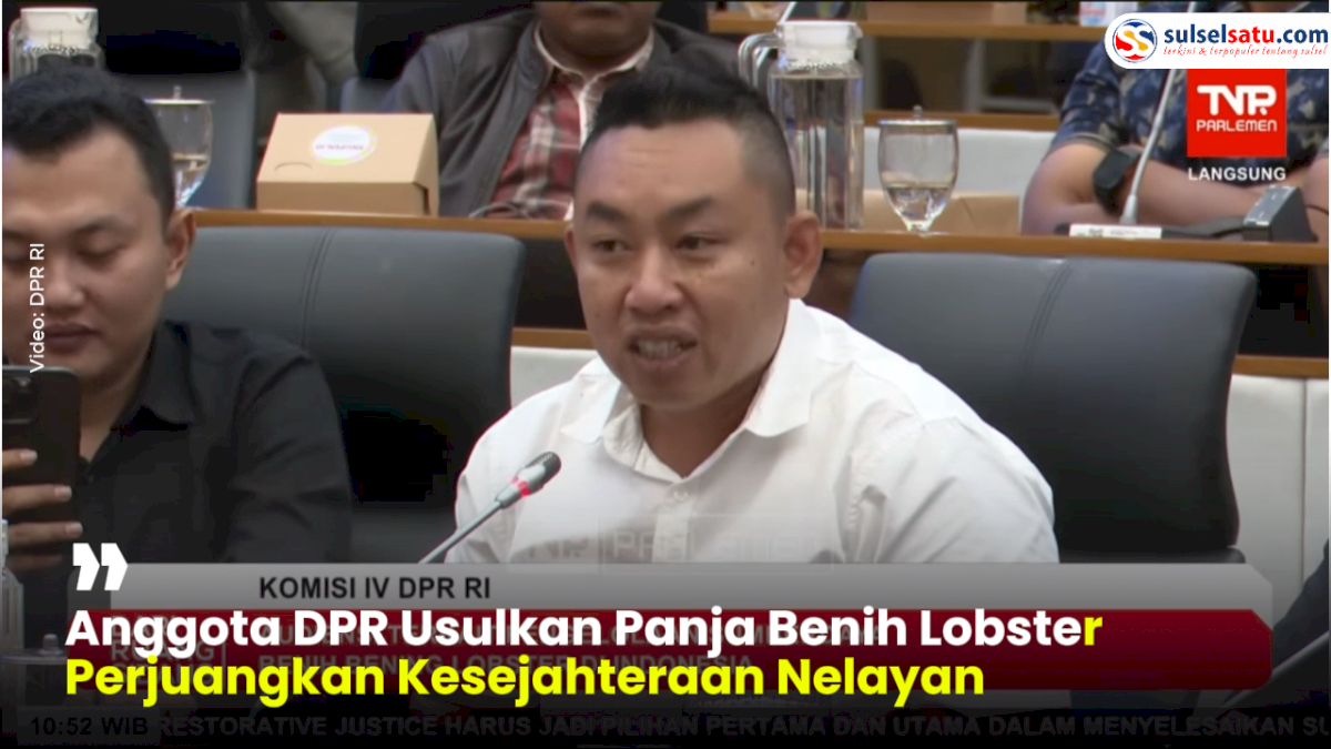 VIDEO: Anggota DPR Usulkan Panja Benih Lobster Perjuangkan Kesejahteraan Nelayan