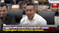 VIDEO: Anggota DPR Usulkan Panja Benih Lobster Perjuangkan Kesejahteraan Nelayan