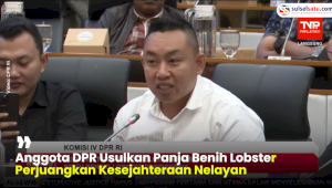 VIDEO: Anggota DPR Usulkan Panja Benih Lobster Perjuangkan Kesejahteraan Nelayan