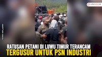 VIDEO: Ratusan Petani di Luwu Timur Terancam Tergusur untuk PSN Industri