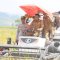 Bupati Sidrap Turun ke Sawah Saat Panen Raya Bersama Petani Desa Lise