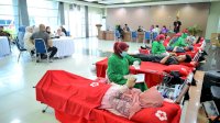 Perumda Air Minum Makassar Gelar Donor Darah, Puluhan Kantong Darah Terkumpul
