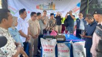 Pupuk Subsidi Perdana Masuk Rongkong, 627 Petani Luwu Utara Kini Terdaftar