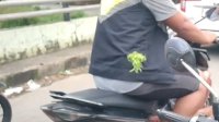 Driver Ojol di Makassar Dibusur saat melintas di Jalan Inspeksi Kanal, 1 Pelaku Diamankan