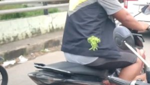 Driver Ojol di Makassar Dibusur saat melintas di Jalan Inspeksi Kanal, 1 Pelaku Diamankan