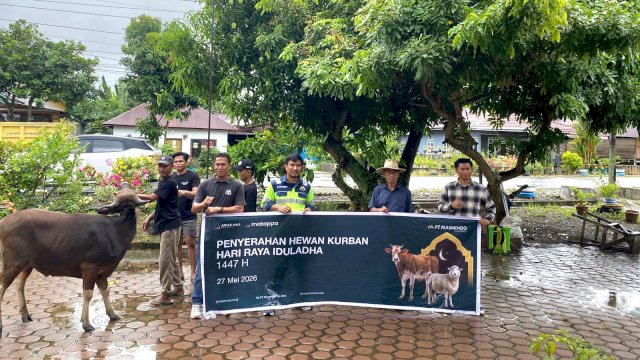 Sapi kurban yang disebar MDA seluruh area operasional. Foto: Istimewa.