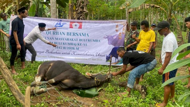 Kurban KM Bulukumba di momen Iduladha. Foto: Istimewa.